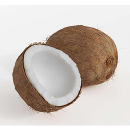 泰国椰子进口怎么报关-代理清关公司