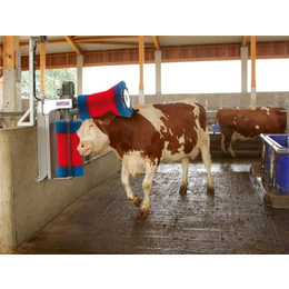 威海牛体刷|腾骏畜牧(在线咨询)|牛体刷