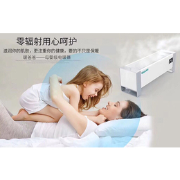 母婴取暖器可遥控,okdaddy(在线咨询),商洛母婴取暖器