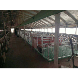 恒泰农牧设备*-连体母猪产床供应商-开封连体母猪产床
