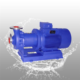 酒泉65CQ-25磁力驱动泵-石保泵业(在线咨询)