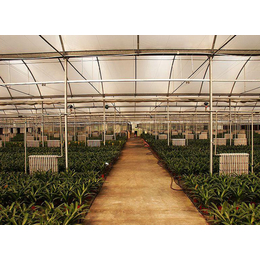 池州阳光板温室|合肥建野|阳光板温室造价