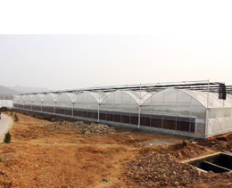 薄膜温室工程-合肥建野大棚-安徽薄膜温室
