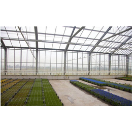 玻璃温室花卉温室大棚,阳泉玻璃温室,安阳盛丰温室工程(查看)