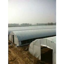 香菇大棚,【富农温室】,郑州建香菇大棚多少钱