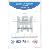 9001国际质量体系认证证书