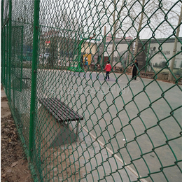 沧州运动场围栏网|东川丝网|运动场围栏网加工