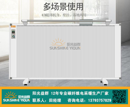 九江壁挂电暖气-阳光益群-家用壁挂电暖气
