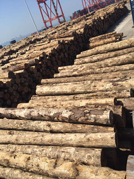 木材加工厂家-木材加工-海南嘉航木业有限公司