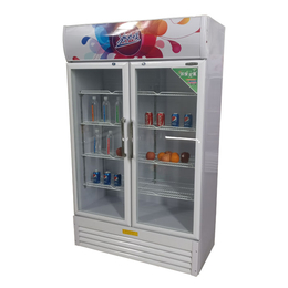 创意的饮料柜-盛世凯迪制冷设备生产-创意的饮料柜品牌