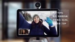 公司远程视频会议-视频会议-江苏锐视通智能科技(查看)