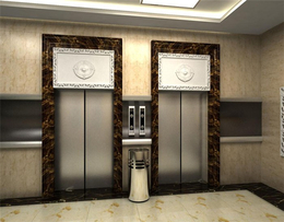 电梯安装公司-电梯-迅捷电梯更*(查看)
