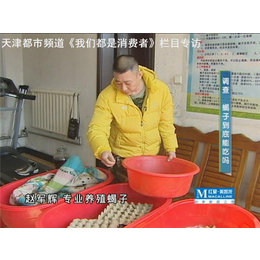 军辉养殖|福建食用东亚钳蝎批发