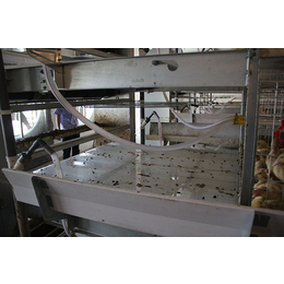 饲料机械养殖设备|方圆笼具(在线咨询)|驻马店养殖设备