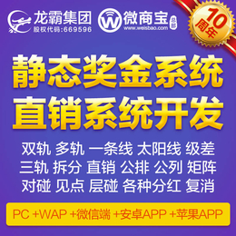 *静态奖金系统 定制双轨*<em>软件开发</em>