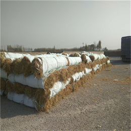 *内蒙古乌海 植物纤维毯 环保植生毯 植被毯 环保草毯