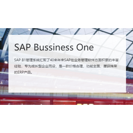 华智SAP仪器仪表行业ERP管理软件 SAP ERP管理系统