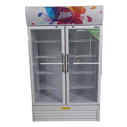 大庆超市饮料柜-盛世凯迪制冷设备生产-超市饮料柜定做