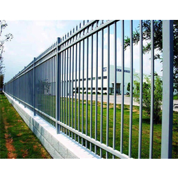 聊城钢制围墙护栏定做,泰全护栏(图)