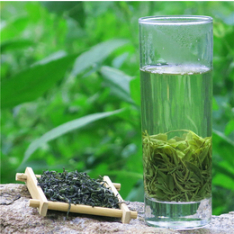 文成香茶绿茶-【峰峰茶业】-香茶绿茶供应商