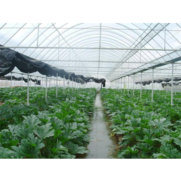 蔬菜温室大棚结构,青州瀚洋农业,河北蔬菜温室大棚