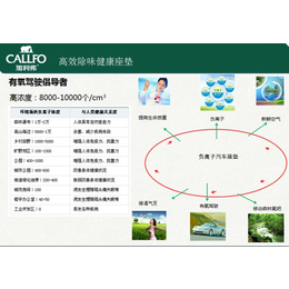 汽车坐垫公司、丹东汽车坐垫、绿晨轶阳