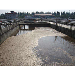 六盘水工业污水、贵州活性源、工业污水净化