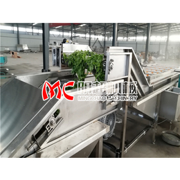 明超机械_沧州蔬菜清洗机毛刷蔬菜清洗机哪家好