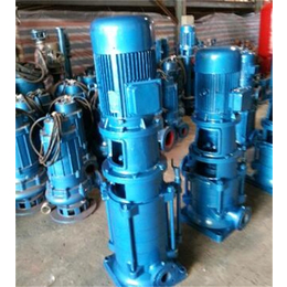 DL立式多级泵价格-陕西DL立式多级泵-强盛泵业