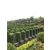 陵园服务|武汉陵园|祥和殡葬服务缩略图1