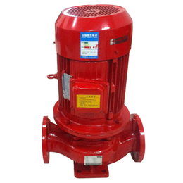 消防泵控制柜-蓝升泵业(在线咨询)-山东消防喷淋泵