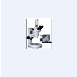 体式显微镜,信阳显微镜,山东赛世尔(查看)