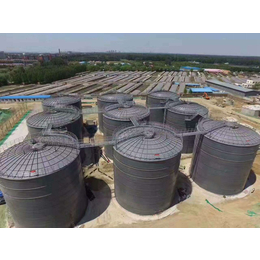 养殖场污水处理设备生产|溱治新能源|养殖场污水处理设备
