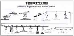 牛屠宰轨道线介绍-山东牛屠宰轨道线-特恩特(查看)