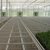 河北华耀温室种植移动苗床的作用缩略图2