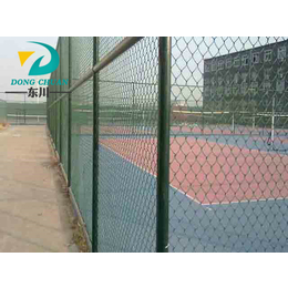 东川丝网(图)、篮球场护栏网生产、福州篮球场护栏网
