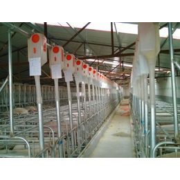 双联机械(图),自动化养猪设备销售,上海养猪设备