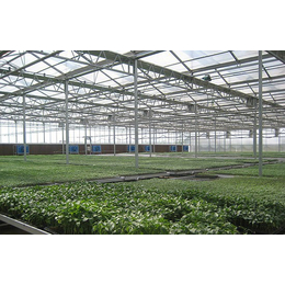 青州建英(图)-温室用中空玻璃生产-海西温室用中空玻璃