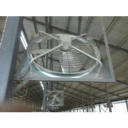 润江温控设备(图)-直径1米牛舍风机-沧州牛舍风机