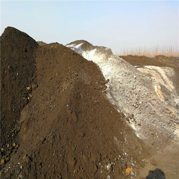 沧州绿化土|泽河洋生物肥|绿化土的价格