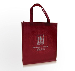 无纺布购物袋报价-可欣塑料包装(在线咨询)-蚌埠无纺布购物袋