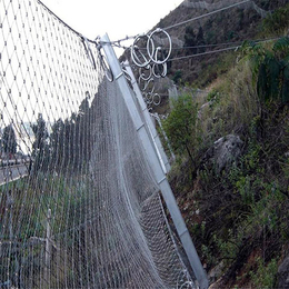 高速山体护坡网,六盘水山体护坡网,边坡防护网