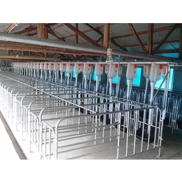 猪舍料线 自动化料线不锈钢转角 猪舍养殖设备厂家*
