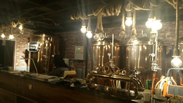 500L啤酒屋大型商用精酿啤酒设备餐厅饭店酿啤酒机器自酿扎啤