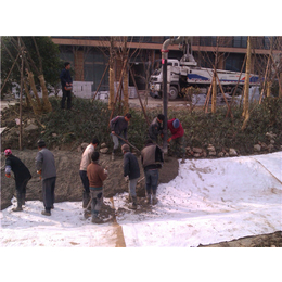 新疆膨润土防水毯-唐能-新疆膨润土防水毯供应