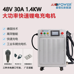 充电机-爱普拉新能源大功率锂电池充电机-48伏400安充电机