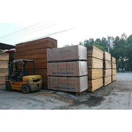 木材生产商|邯郸闽都木材(在线咨询)|廊坊木材