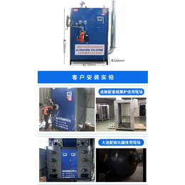 香港燃气蒸汽发生器-燃气蒸汽发生器市场-台锅热能(****商家)