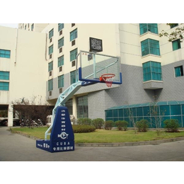 可移动式篮球架价格_飞*育设施*_樟树市篮球架