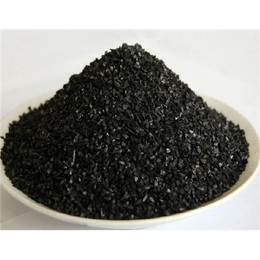 果壳活性炭滤料价格|晨晖炭业(在线咨询)|果壳活性炭